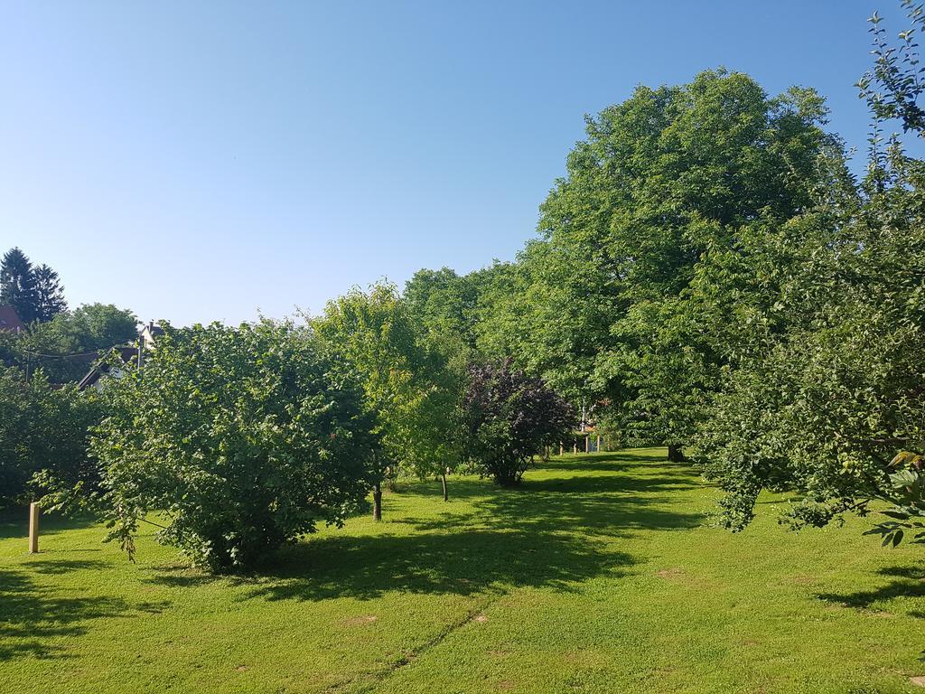 House Wisteria Villa Rakovica Luaran gambar